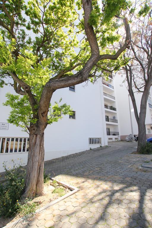 Appartement Casa Belavista - Baia Lagos